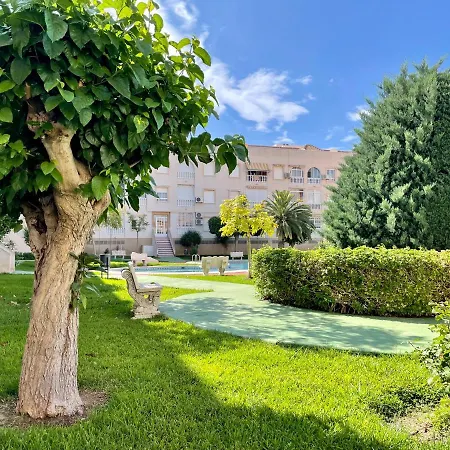 Apartment En Urbanizacion Con Piscina Y Jardin En 5 Minutos De La Playa Torrevieja