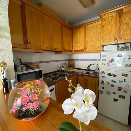 En Urbanizacion Con Piscina Y Jardin En 5 Minutos De La Playa * Torrevieja